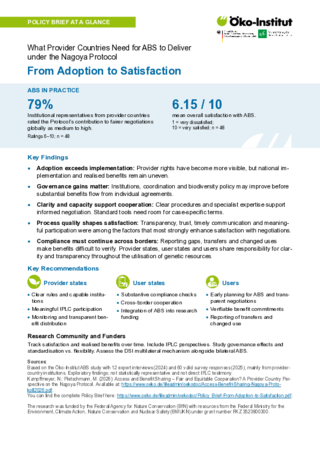 Cover der Publikation: Policy Brief at a glance - From Adoption to Satisfaction