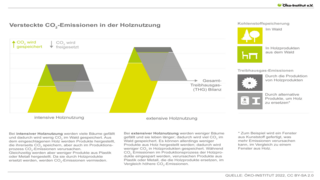 Versteckte CO2-Emissionen in der Holznutzung